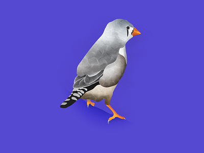 Perch 2d art bird branding graphic design illustration illustrator logo vector artwork