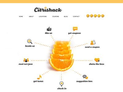 Citrishack Website Design orange smoothie web design wordpress