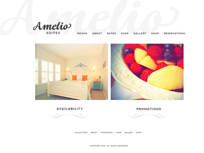 Web design for Amelio bed and breakfast hotel minimalist simple web design