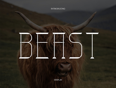 Beast Display Font display font letter typeface