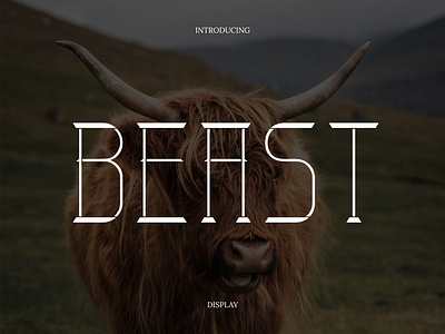 Beast Display Font