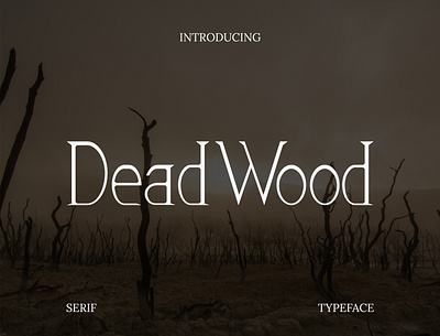 Dead Wood Font display display font font lettering typeface
