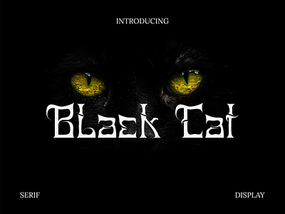 Black Cat Font