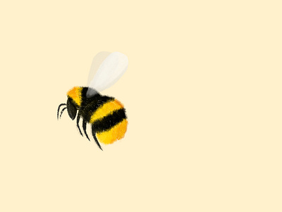 bee art illustration procreate