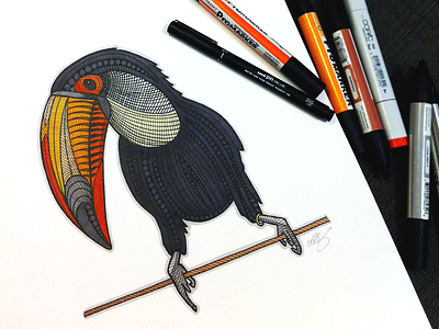 Tucan bird drawing handdrawn ink linework pencil promarker tucan