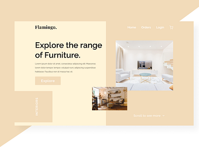 FLamingo - landing page design ui