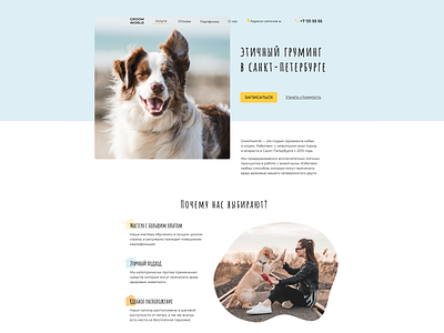 Landing page for grooming studio design dog landing page main page pet ui ux veterinary website