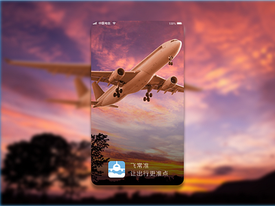 飞常准 app ui redesign air airline airplane app icon mobile route