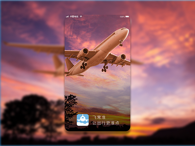 飞常准 app ui redesign