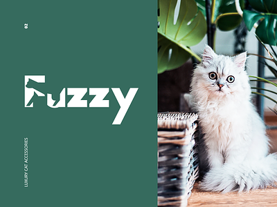 Fuzzy animation branding cat clean colors design logo minimal modern typography
