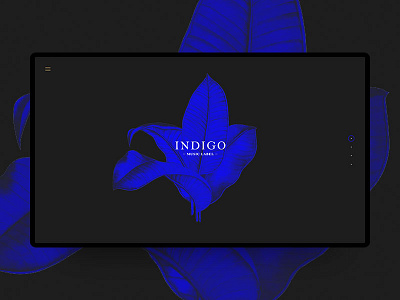 Indigo music label blue clean dark desktop ui ux web webdesign