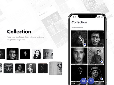 Media Collection App albums catalogue collection ios iphone media medien native reiff