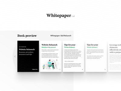 Whitepaper - B2B Digital Book (Book Preview)
