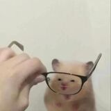 Anna Alice Guimarães