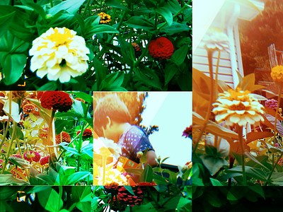 flower collage