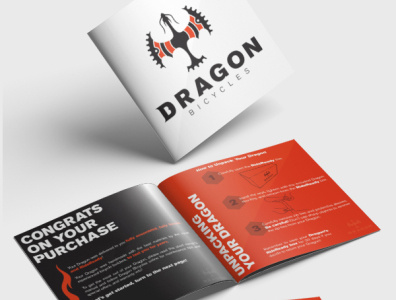 Dragon Bicycles Manual bold branding design manual photoshop print