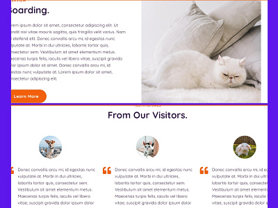 Landing page design-19 website design