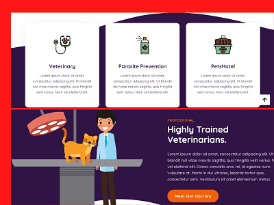 Landing page design-2- website design