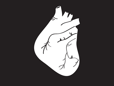 White Heart anatomical heart heart illustration