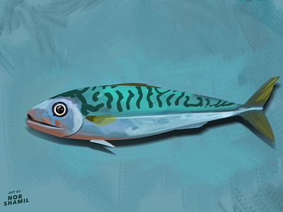 Fish Series/01 - Pacific Mackerel