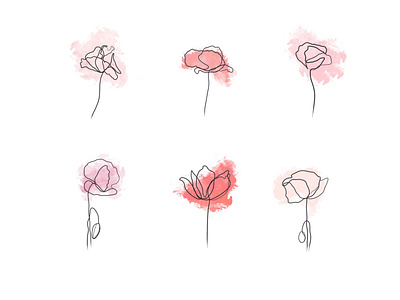 Line art. Poppy flowers.