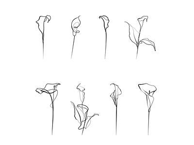 Calla lilies. beauty bloom botanical line art calla lilies design elements floral flowers garden invitation isolated line art logo minimalism objects one line art print set silhouette tattoo