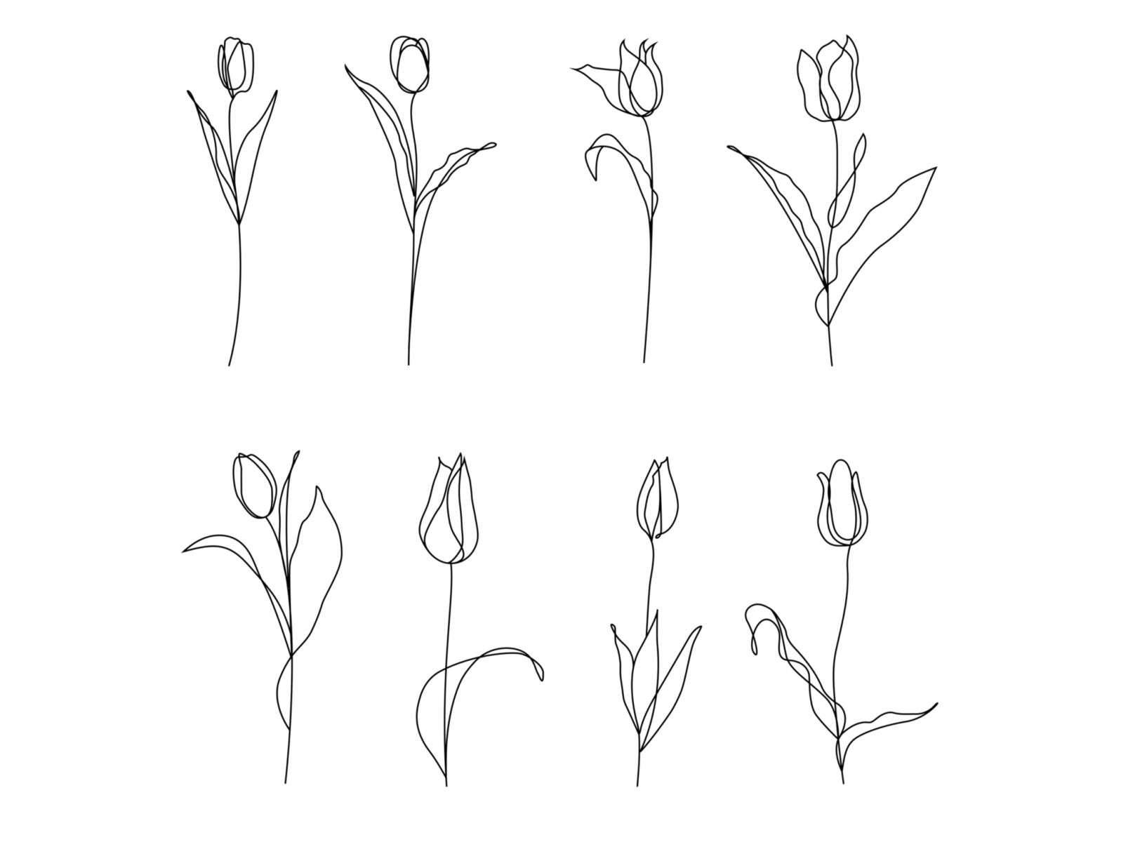 Outline tulip flowers icons set by Elena Nikol on Dribbble