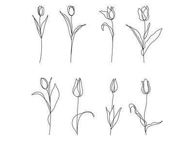 Outline tulip flowers icons set