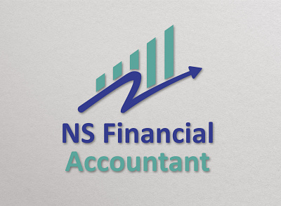 NS Financial Accountant branding des design graphic design illustration logo poster