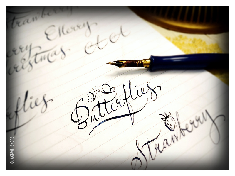 Butterflies. Calligraphy sketches jack whiskers type design typographer custom type art director graphic designer art direction graphic design typography lettering calligraphy
