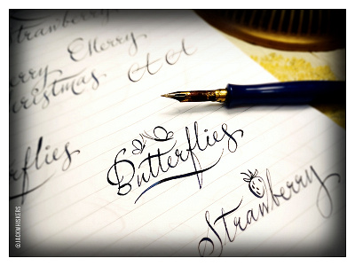 Butterflies. Calligraphy sketches