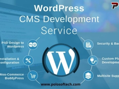 WordPress Development Services app branding business design development graphic design ui