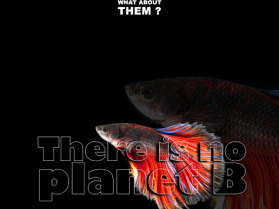 Save Earth ! There is No Planet B aqua behance creative design digital art fish graphic design photoshop save earth save environment save planet save water stop water pollution there is no planet b typography
