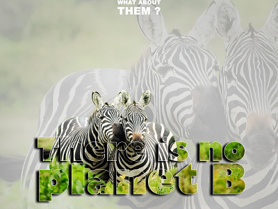 Save Earth ! There is no Planet B africa creative design digital art graphic design photoshop planet b poster save earth save planet there is no planet b wild wild life zebra