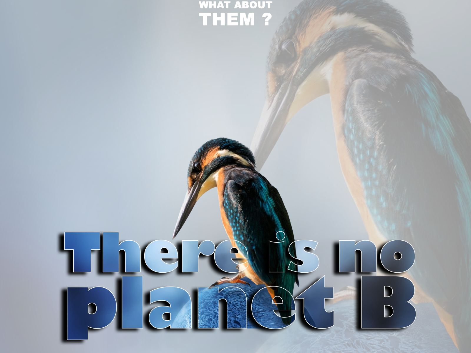 There Is No Planet B ! By ANANDHU CHANDRAN J On Dribbble