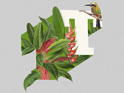 Letter T 3d birds el salvador letter letters national bird nature photocomposition plants torogoz type design typography