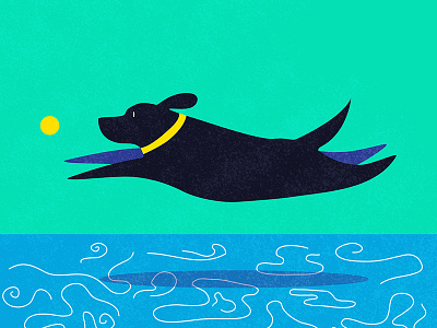 Go fetch! black lab dog dogdaysofsummerart tennis ball water