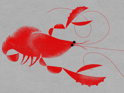 Crayfish, crawfish, mudbugs, crawdaddies... kräftor! crawfish crayfish illustration