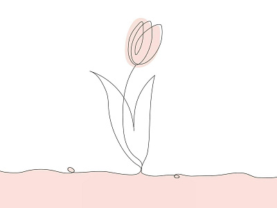 Tulip flower illustration line tulip