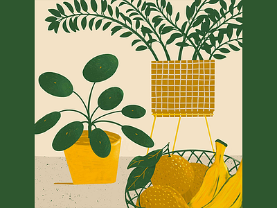 Kitchen Still Life fruit minimal plants plantshop sketch stilllife study