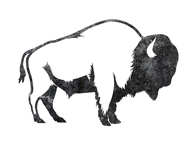 Bison animal bison buffalo illustration