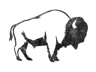 Bison