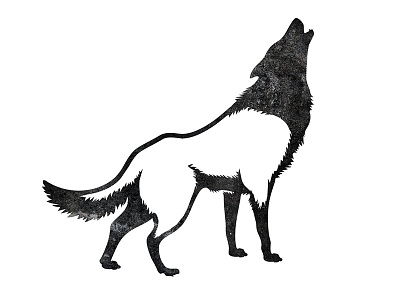 Wolf animal illustration wolf