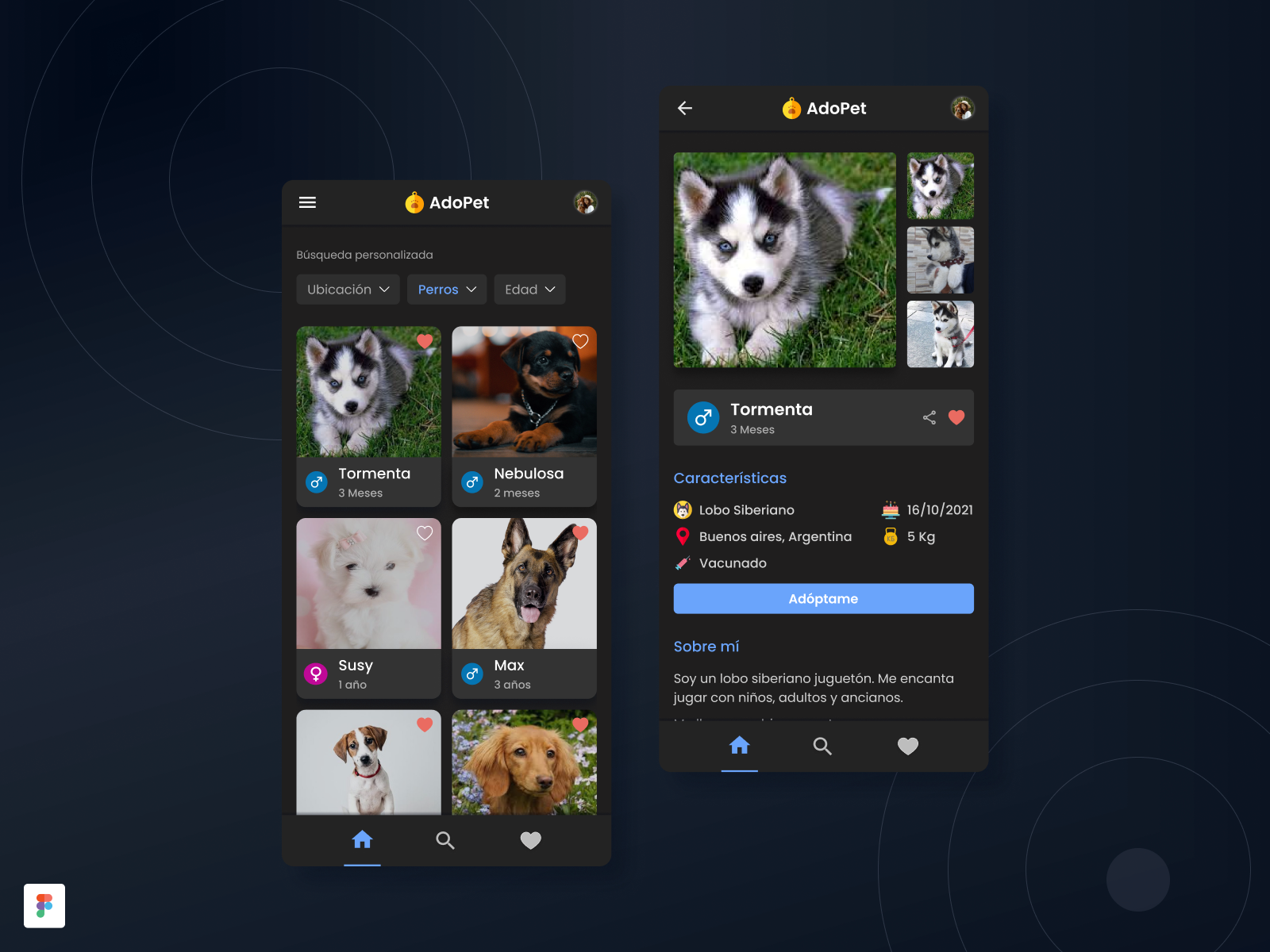 adopet-dark-theme-design-by-jennifer-assi-on-dribbble