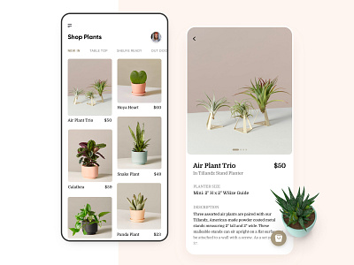 Ecommerce Plant UI Concept app app design clean design ecommerce ecommerce app ecommerce design illustration interface ios iphone minimal mobile plant app shop shopify typography ui user experience ux