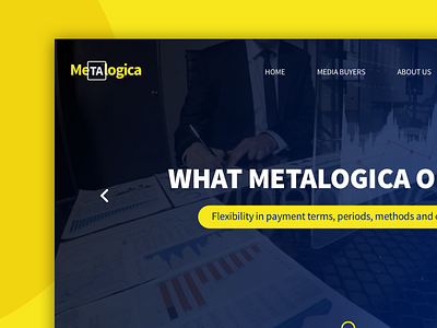 WIP Project Metalogica ads frontend header hero logo sketchapp video