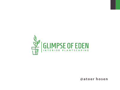 Brand Identity Design | Brand - GLIMPSE OF EDEN branding branding design business business logo clean design graphic design icon illustration logo logo design modern vector versatile