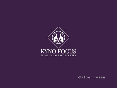 Brand Identity Design | Client-KYNO FOCUS 3d branding branding design design graphic design icon illustration logo logo design vector