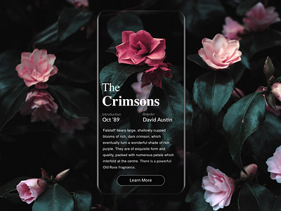 Flowers of Autumn design flower minimal mobile product design sketch ui ux