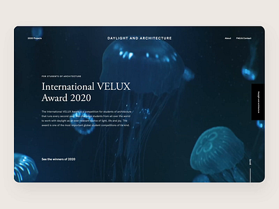 International VELUX Awards animals award design desktop fullscreen interface motion design scroll ui uiux user experience video website website design